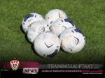 Regionalliga: Trainingsauftakt am morgigen Dienstag 
